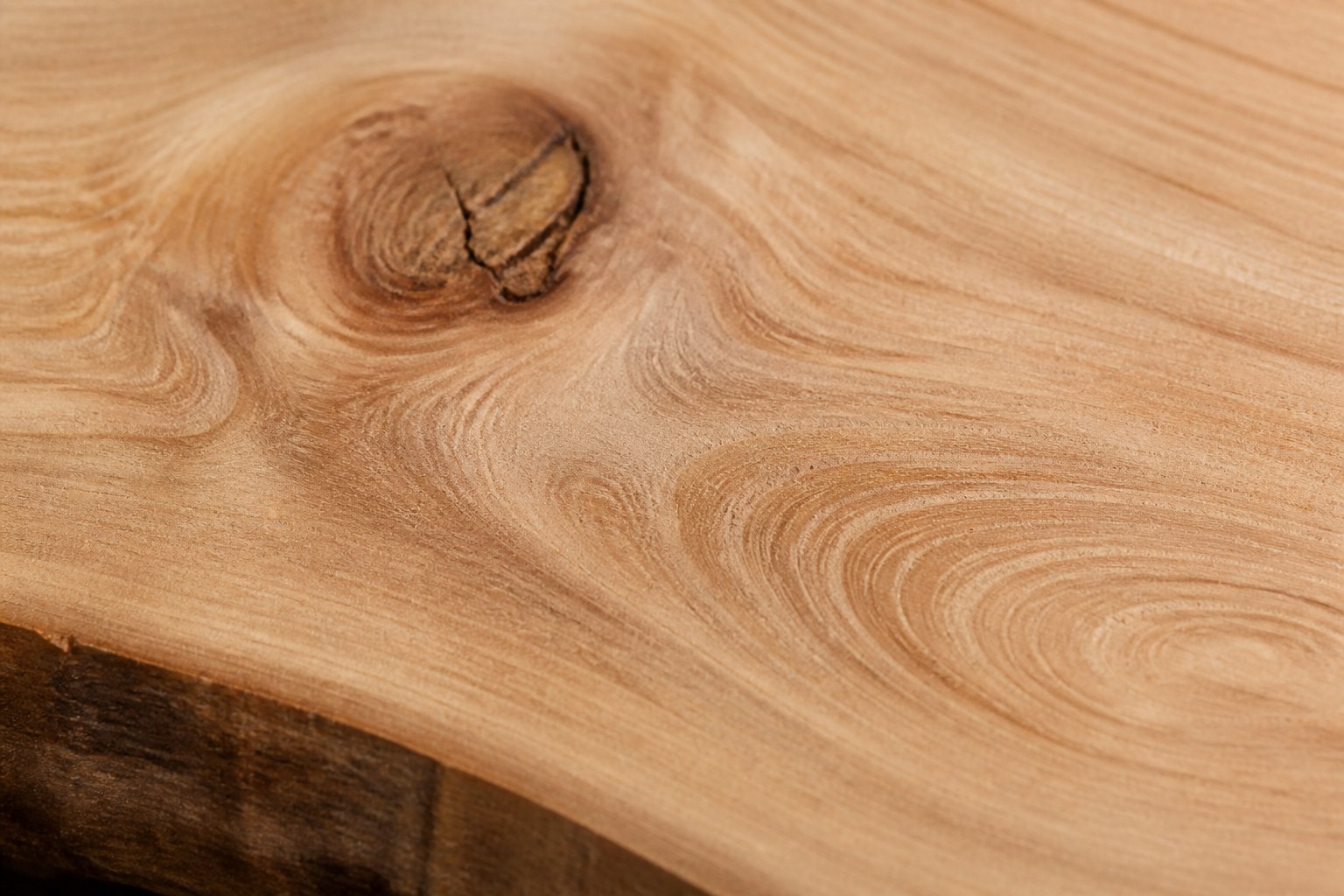 Close-up of freshly sanded natural wood grain texture